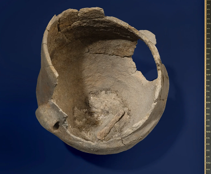 Food remains in ceramic pots what did they eat in northern and central Europe 5,000 years ago?
